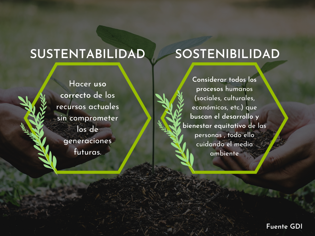 Conoces La Diferencia Entre Sustentabilidad Y Sostenibilidad GDI