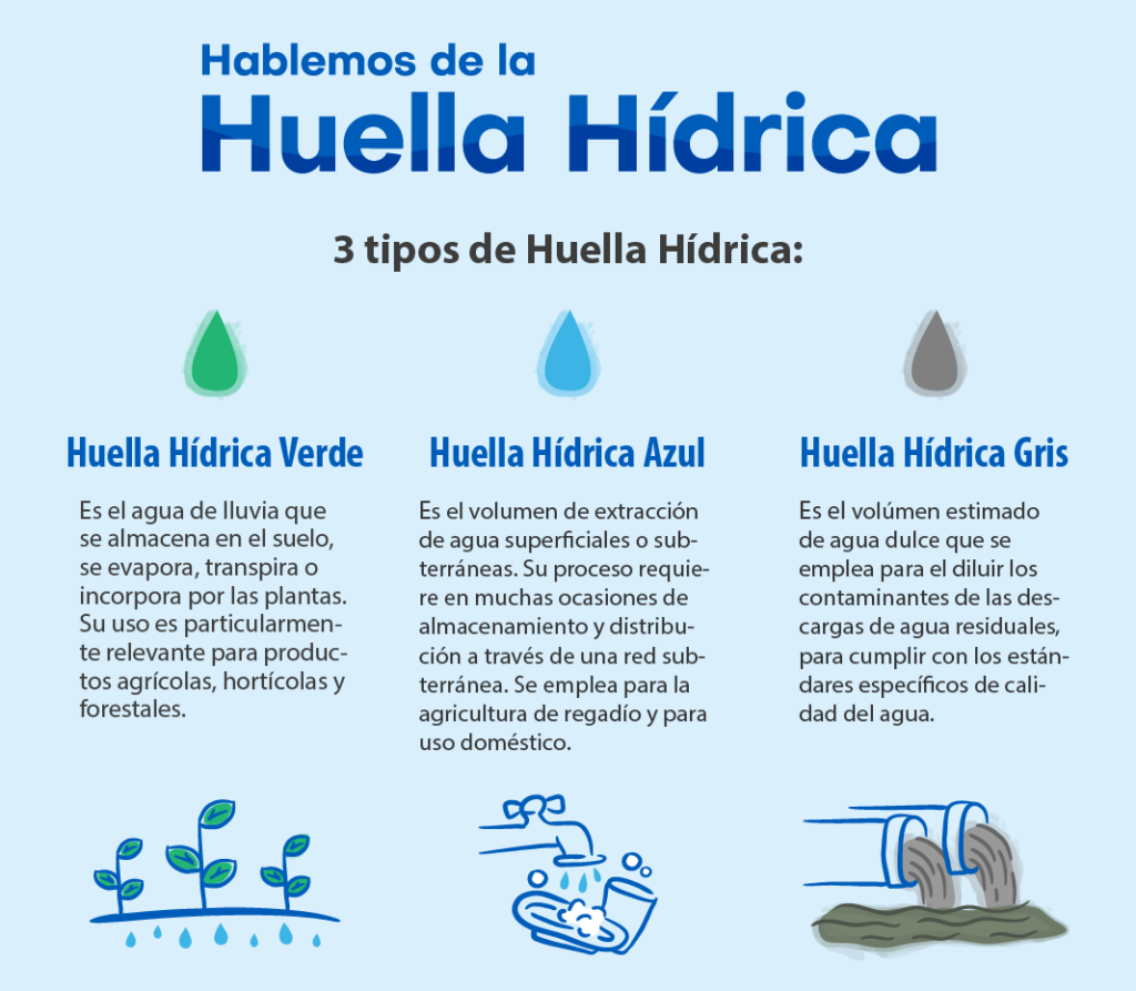 Tipos De Huella H Drica Gdi Uniformes